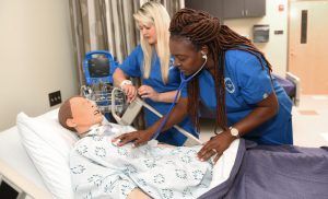 Nursing_Nursing Students Taking Checking Model's Heart